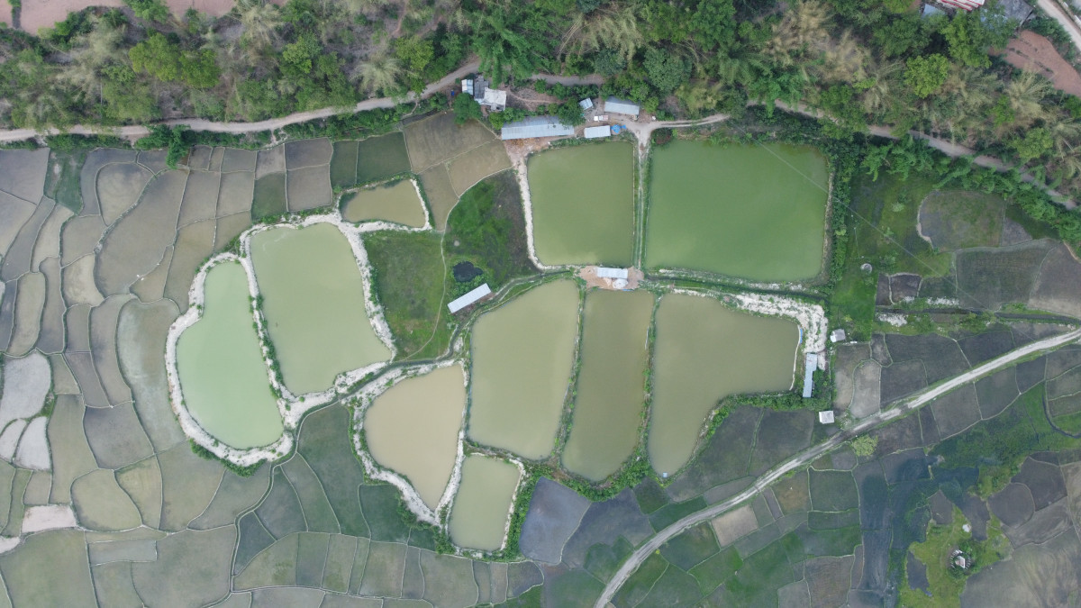 DJI_0520.JPG