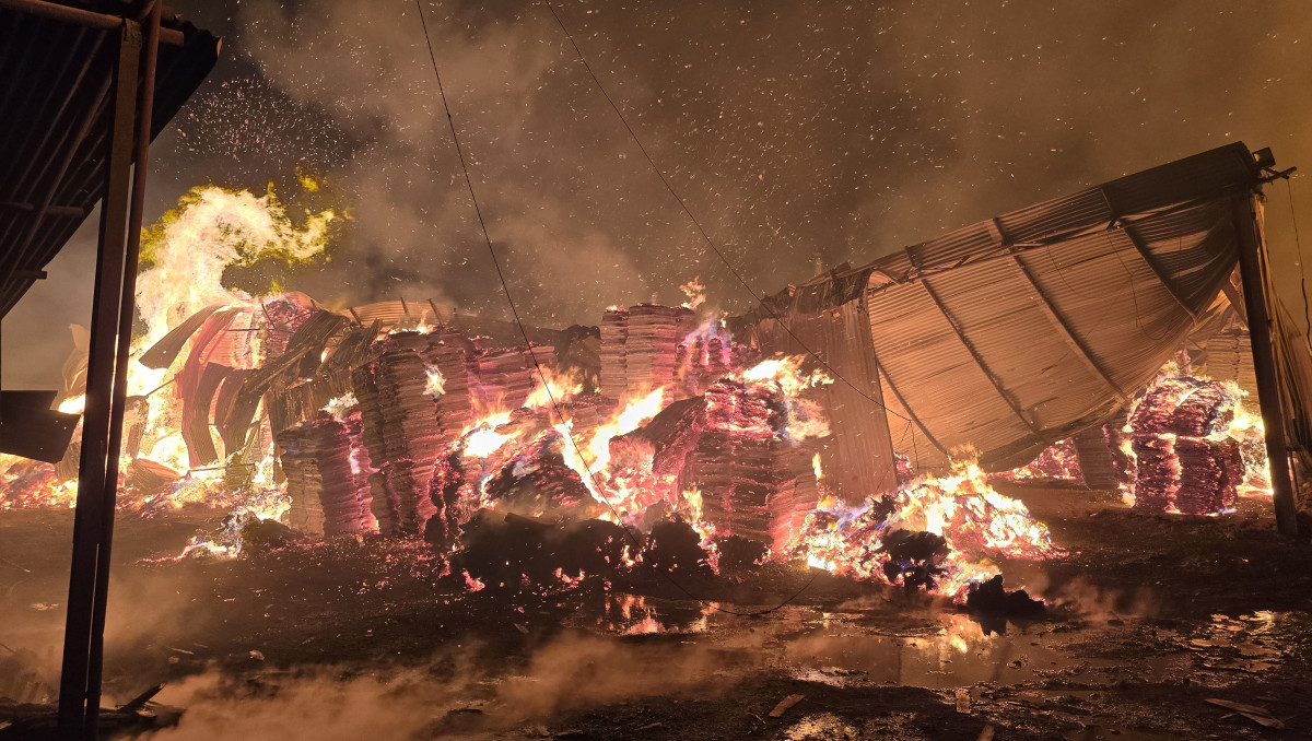 dang-plywood-fire-(3)-1742787892.jpg