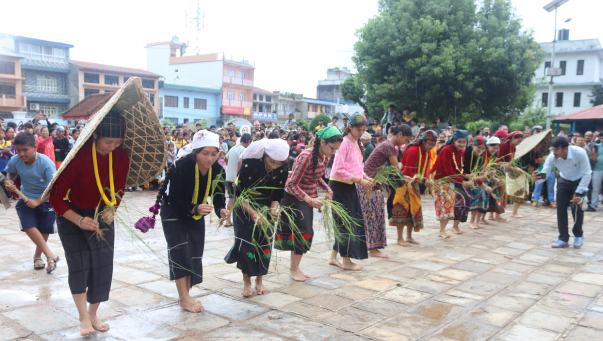 तानसेनको सडकमा रोपाइँको झल्को