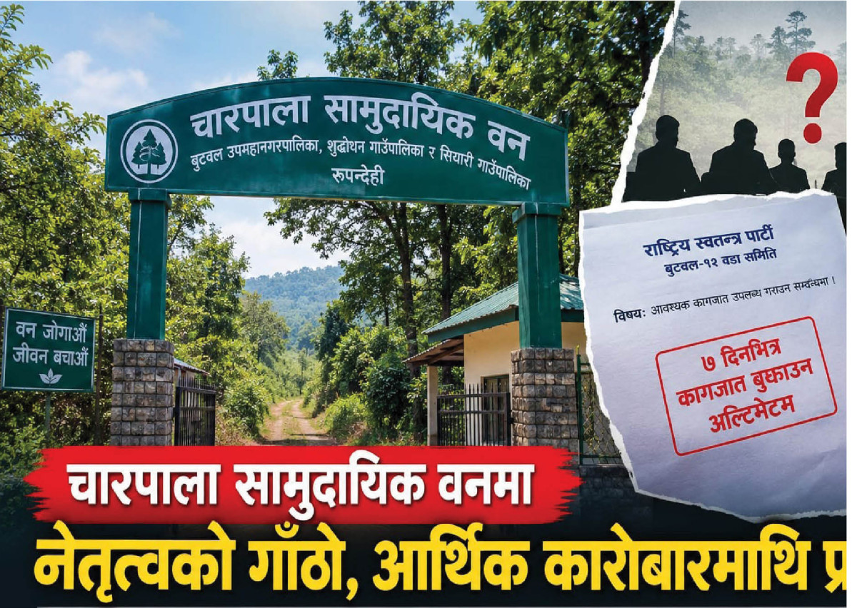 चारपाला सामुदायिक वनमा नेतृत्व चयनमा अन्योल, आर्थिक कारोबारमाथि छानबिन सुरु